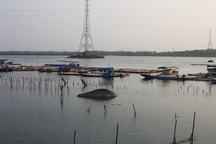 湛江宁静湖畔停泊的船只