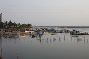 湛江宁静港湾渔船停泊景象