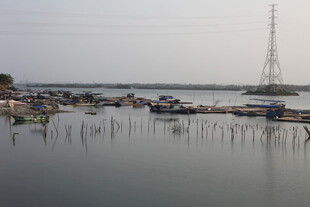 湛江宁静水边停泊的船只景象