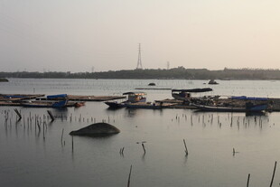 湛江宁静湖畔停泊的船只