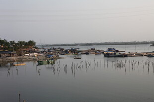湛江宁静渔村港湾景象