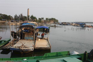 湛江水上码头船只停靠景象