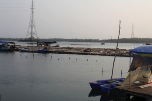 湛江宁静港湾中的停泊船只