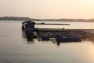 湛江夕阳下宁静的码头与船只