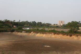 湛江城郊荒地景观