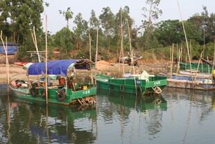 湛江河畔停泊的多彩船只