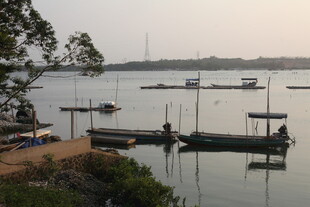 湛江宁静湖畔停泊的船只景象