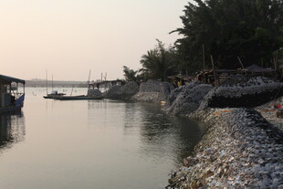 湛江河畔停泊船只的静谧景象