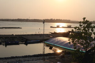 湛江夕阳下的河畔码头景致