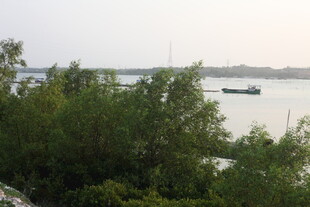 湛江河畔绿树与远处船只景观
