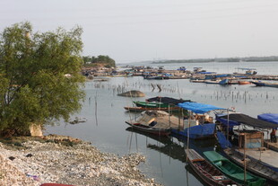 湛江河畔停泊的多彩船只景观