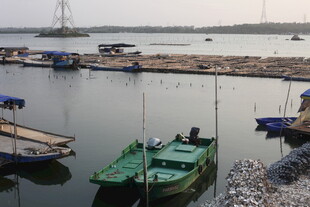湛江宁静港湾停泊多艘船只