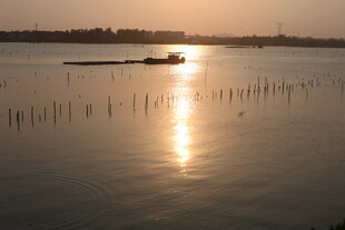 湛江夕阳下的宁静湖面与小船
