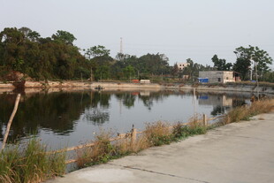 湛江宁静水边景致