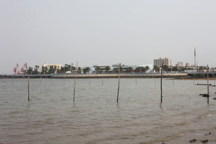 湛江海滨风光 远处建筑与水域