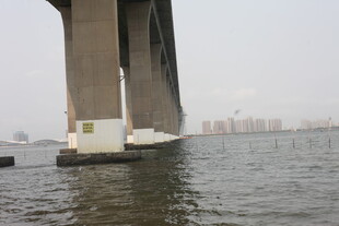 湛江江边大桥桥墩特写