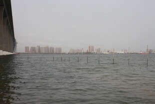 湛江城市水域景观