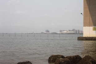 湛江海边桥梁下的宁静水域