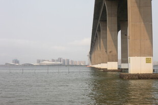 湛江大桥桥墩下的水域景观