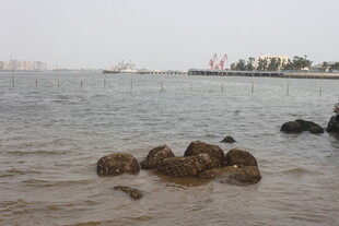 湛江海边礁石景观