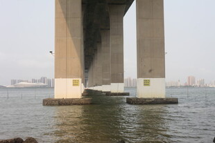 湛江桥墩屹立于水面的大桥