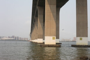 湛江跨江大桥下的壮阔水域