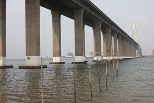 湛江海上长桥横跨水面