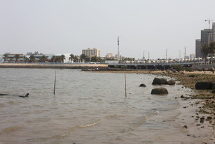 湛江海滨城市岸边景象