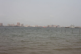 湛江海滨城市远景 海面朦胧