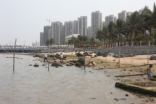 湛江海滨城市近岸景色