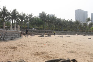 湛江沙滩风光 远处高楼与椰树