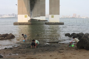 湛江桥下浅滩处人们嬉戏场景