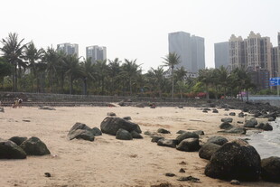 湛江沙滩礁石旁的城市远景