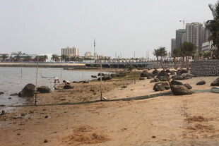 湛江岸边景象 多人于水边活动