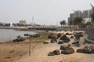 湛江海滨岸边的碎石景观