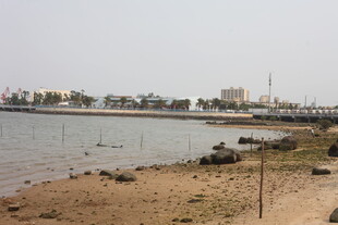 湛江海滨风光 岸边景象