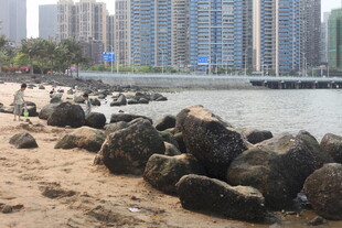 湛江海滨岩石景观与城市天际线