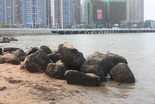 湛江海边沙滩上的礁石景观