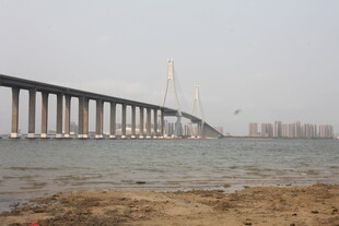 湛江跨海大桥近景与城市天际线