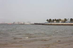 湛江海边风景 远处有棕榈树