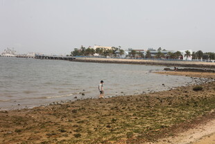 湛江湖畔风光 一人伫立岸边