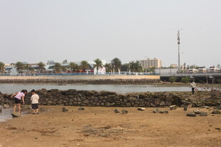 湛江海边滩涂景象