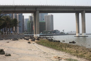 湛江城市桥畔河岸风景