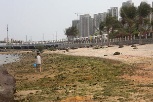 湛江海滨沙滩景象