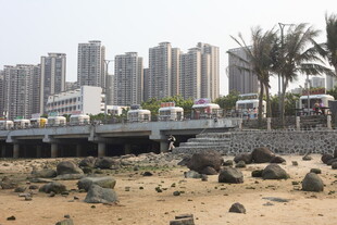 湛江海滨城市风景 沙滩与高楼