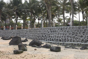 湛江沙滩上的石墙与棕榈树