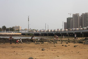 湛江城市施工中的荒地与桥梁