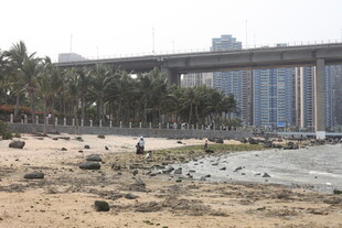 湛江城市海滩边的休闲景象