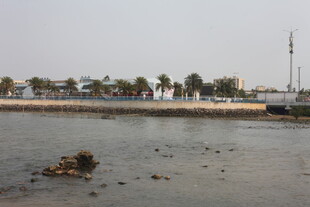 湛江海滨风光 岸边棕榈树景色