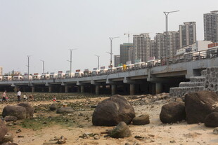 湛江城市桥梁与周边建筑景观